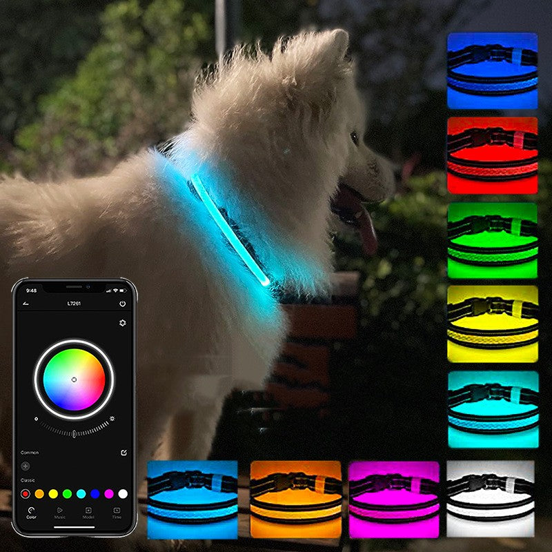 Usb Charging Shiny Dog Collar