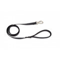 Nylon Traction Rope for Small and Medium Dogs