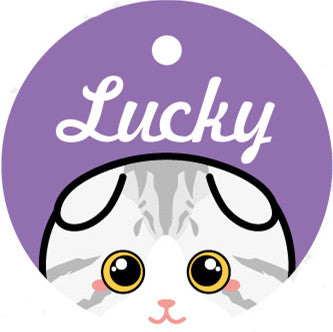 Custom Lettering Pet ID Tag