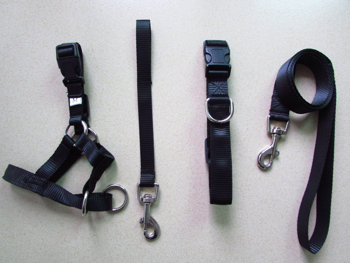 Anti-Riot Rushing Dog Traction Rope For Dog Walking