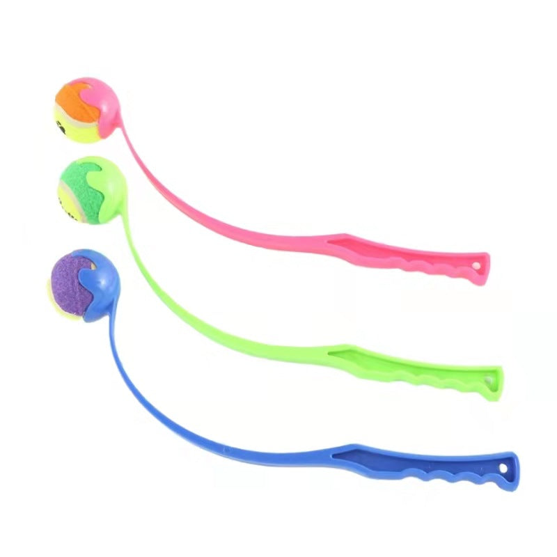 Outdoor Pet Throwing Training Toy