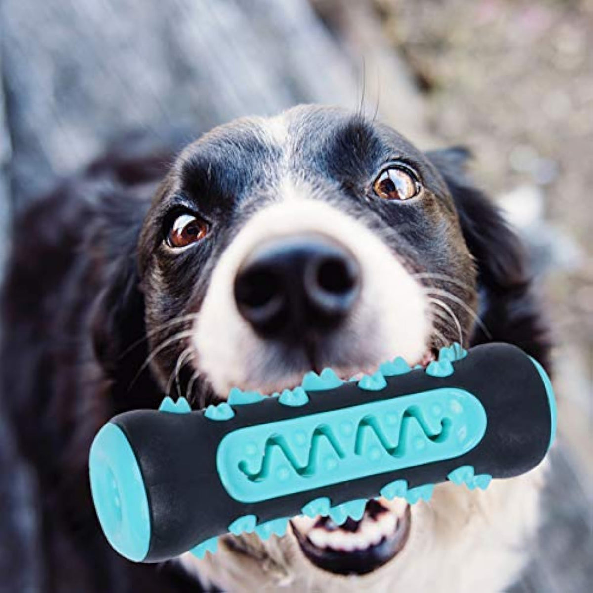Natural Rubber Dog Toothbrush Chew Toy