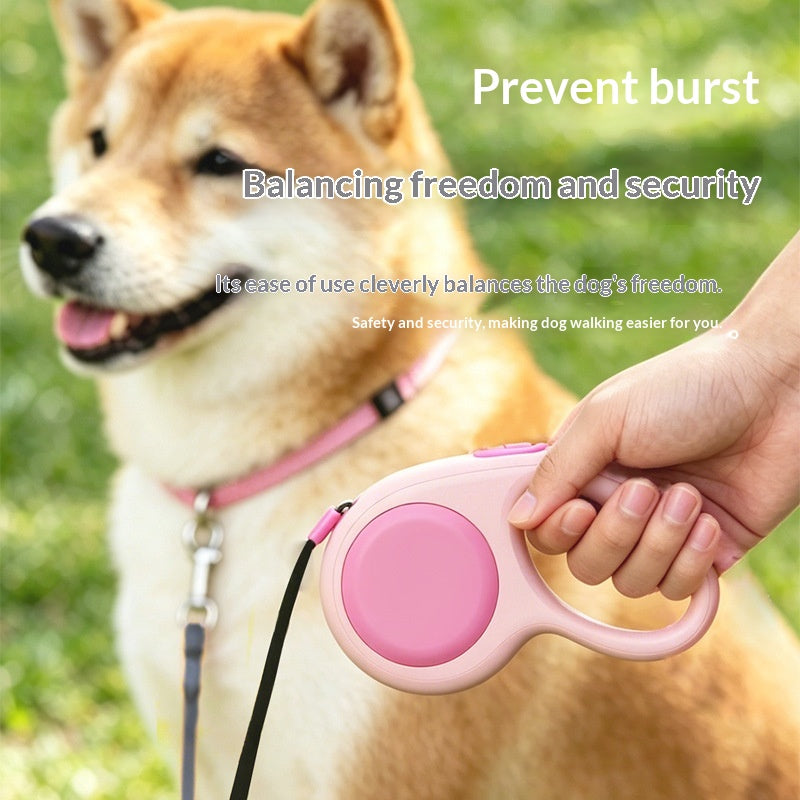 Retractable Automatic Leash for Small, Medium Dogs, Schnauzer