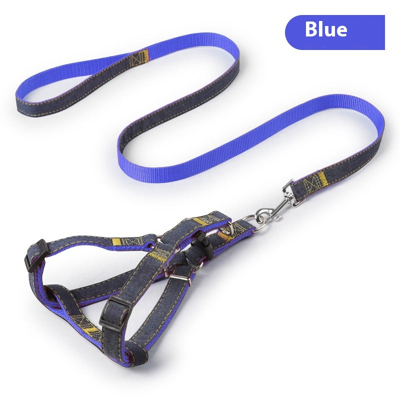 Everyday Dog Leash