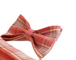 Plaid Pet Collar Traction Rope