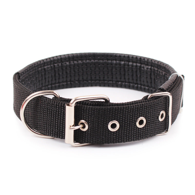 Pp Braid Lined Polypropylene Pet Foam Dog Collar