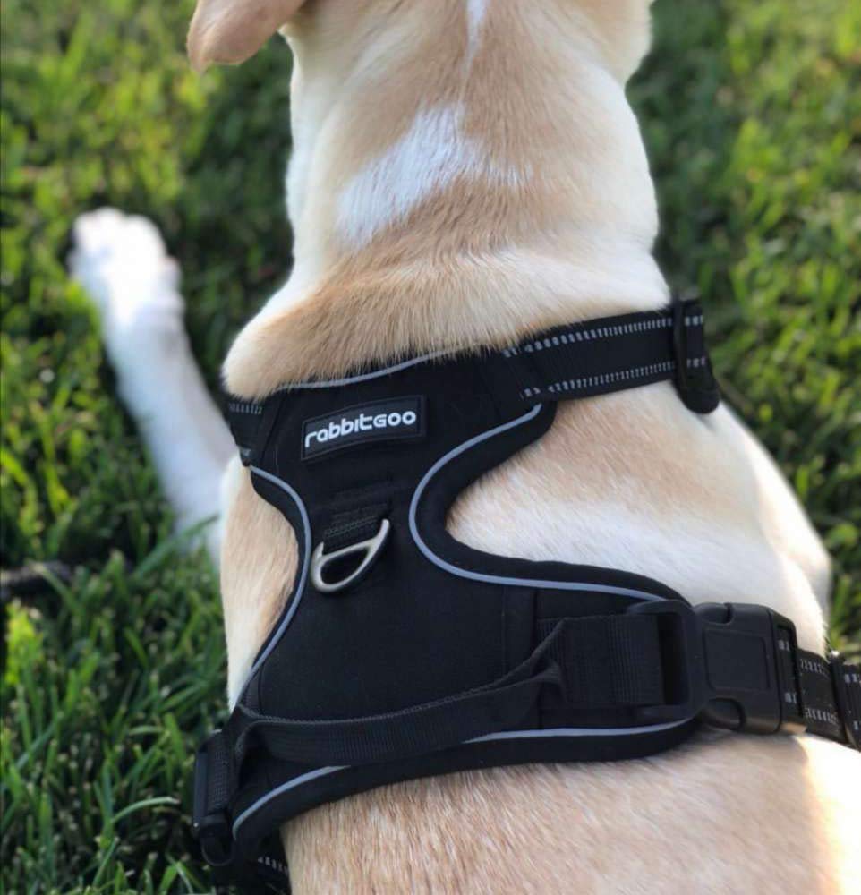 Medium And Large Dog Vest Type Dog Rope