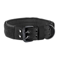 Nylon Anti-Grind Dog Leash Collar