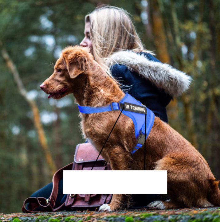 Personalize Per Harness