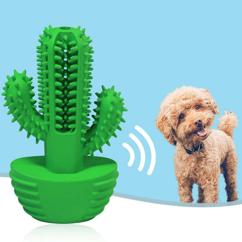 Pet Molar Stick