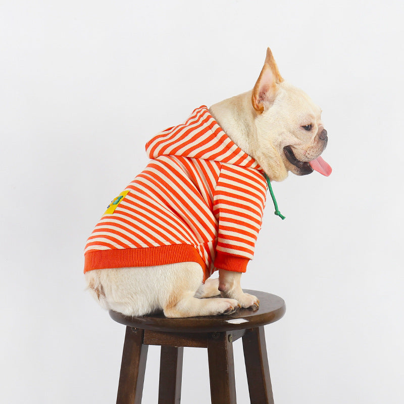 Thin Orange Hooded Pet Sweater