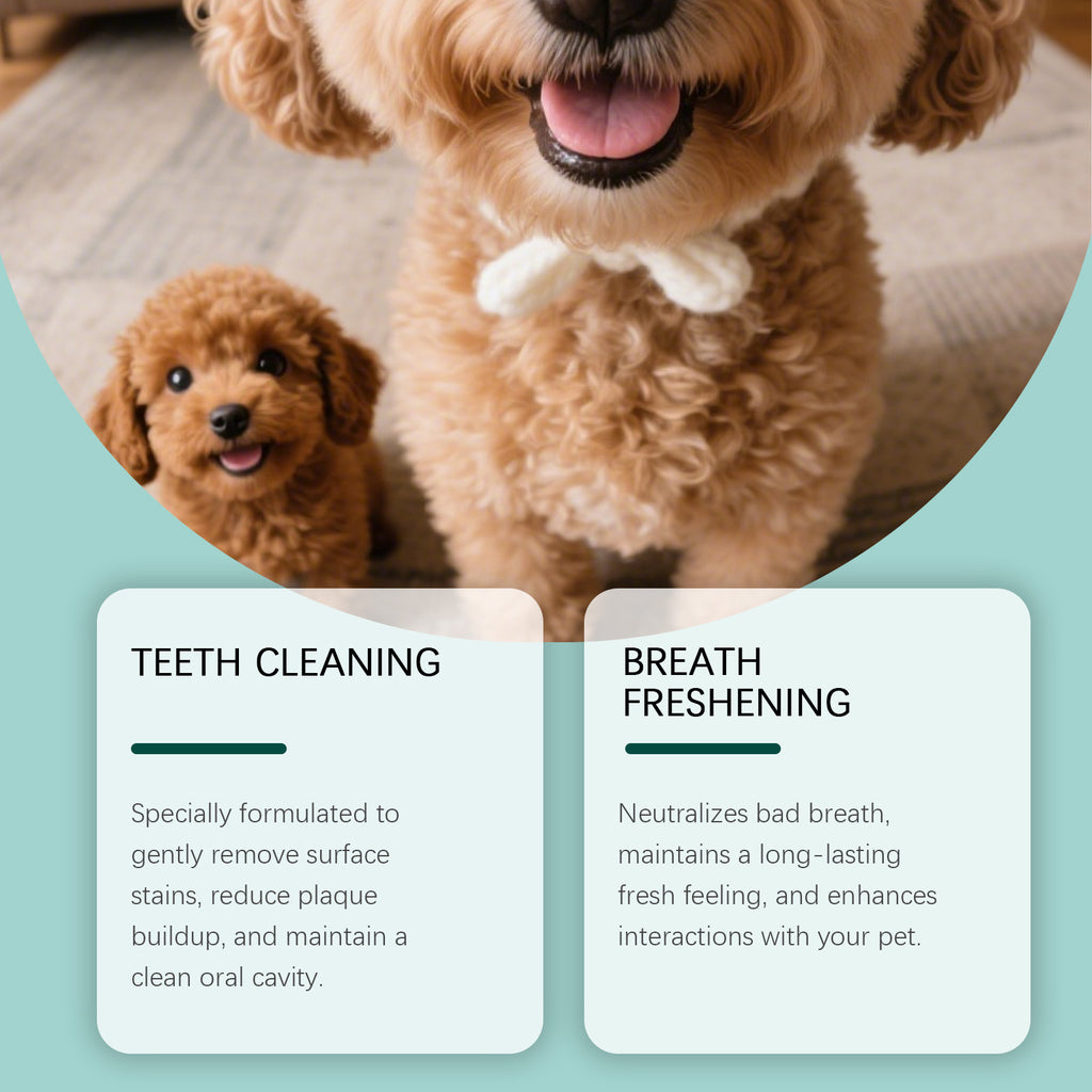 Dog Tooth Cleaning Powder