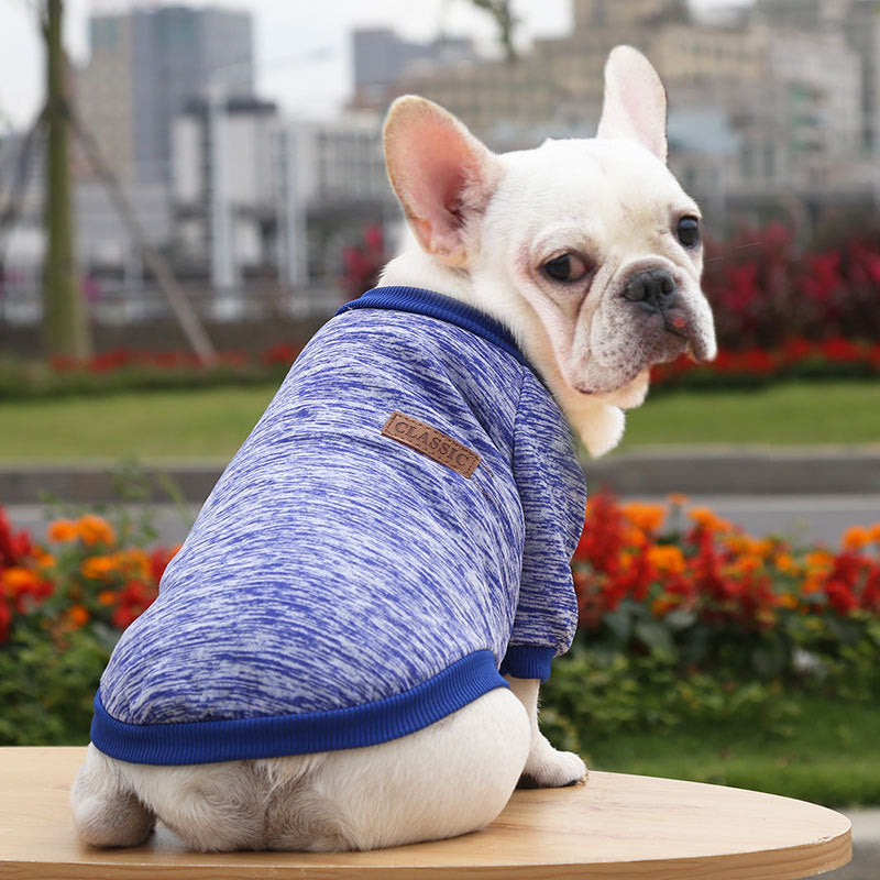 Fall Winter New Style Sweater Two-Legged Clothes Dog Supplies