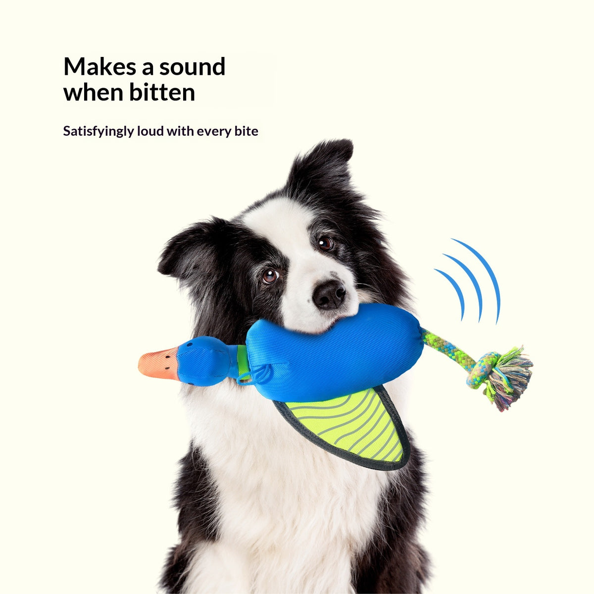 Chew-Resistant Squeaky Dog Toss Toy