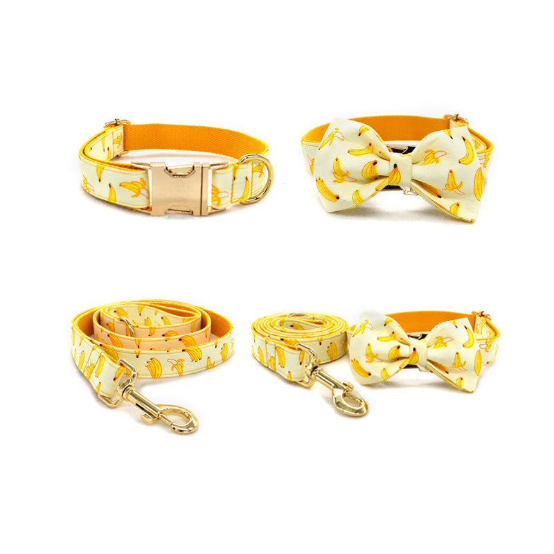Gold Buckle Rope Dog Collar