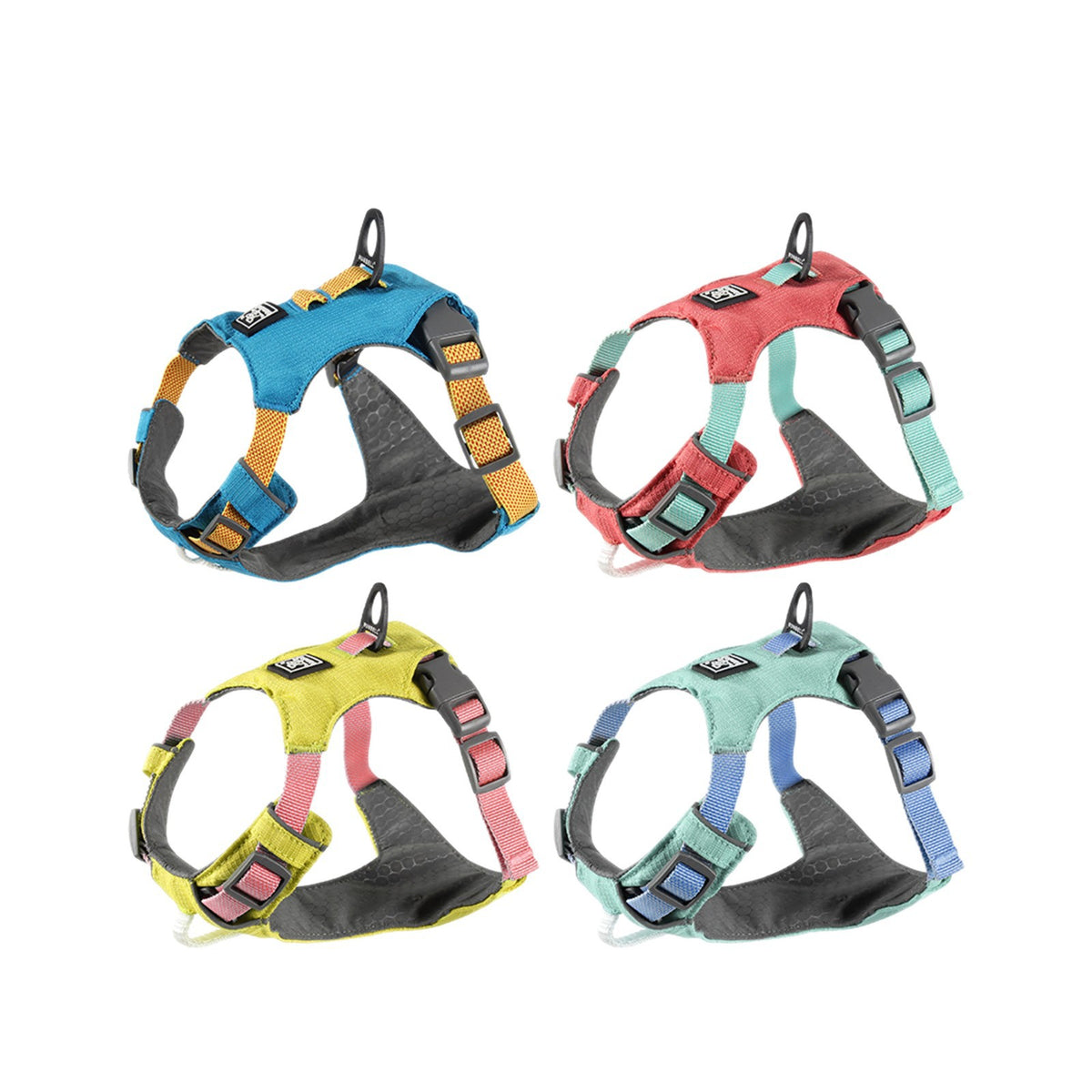 No-Pull Dog Leash Set For All Sizes