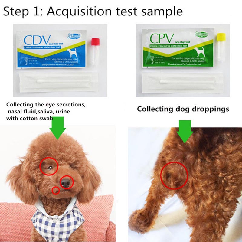 Pet Cdv Cpv Test Paper