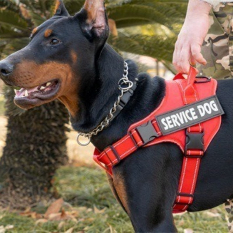 Tactical Dog Harness And Leash