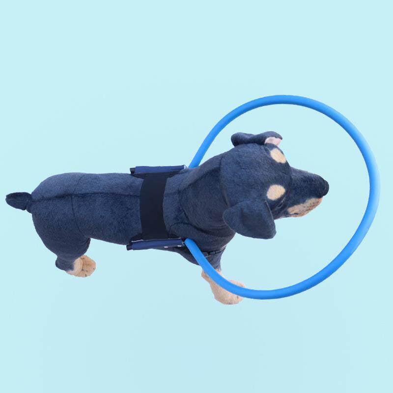 Head Protection Ring For Blind Pets