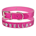 DIY Alphabet Dog Collar Accessory