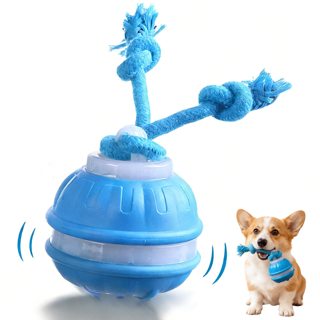 Interactive Dog Toys,Dog Ball Toy With Squeaky Birdsong Sound And Stimulation,Automatic Motion Activated Dog Toy For Boredom,Indoor Outdoor