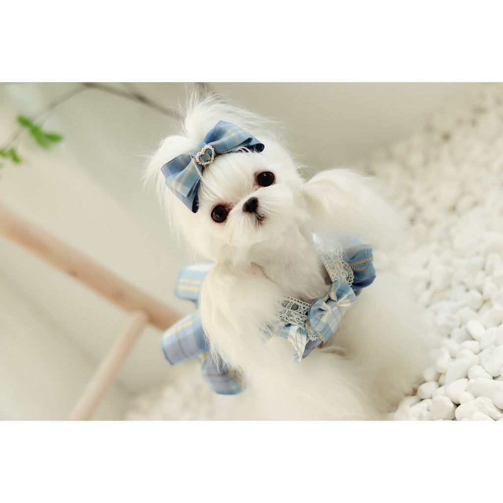 Small Body Blue Jk Plaid College Style Cute Suspender Skirt