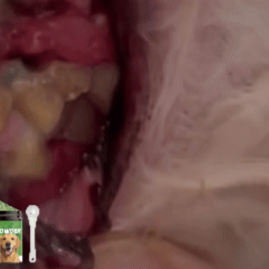 Dog Teeth Cleaning Powder
