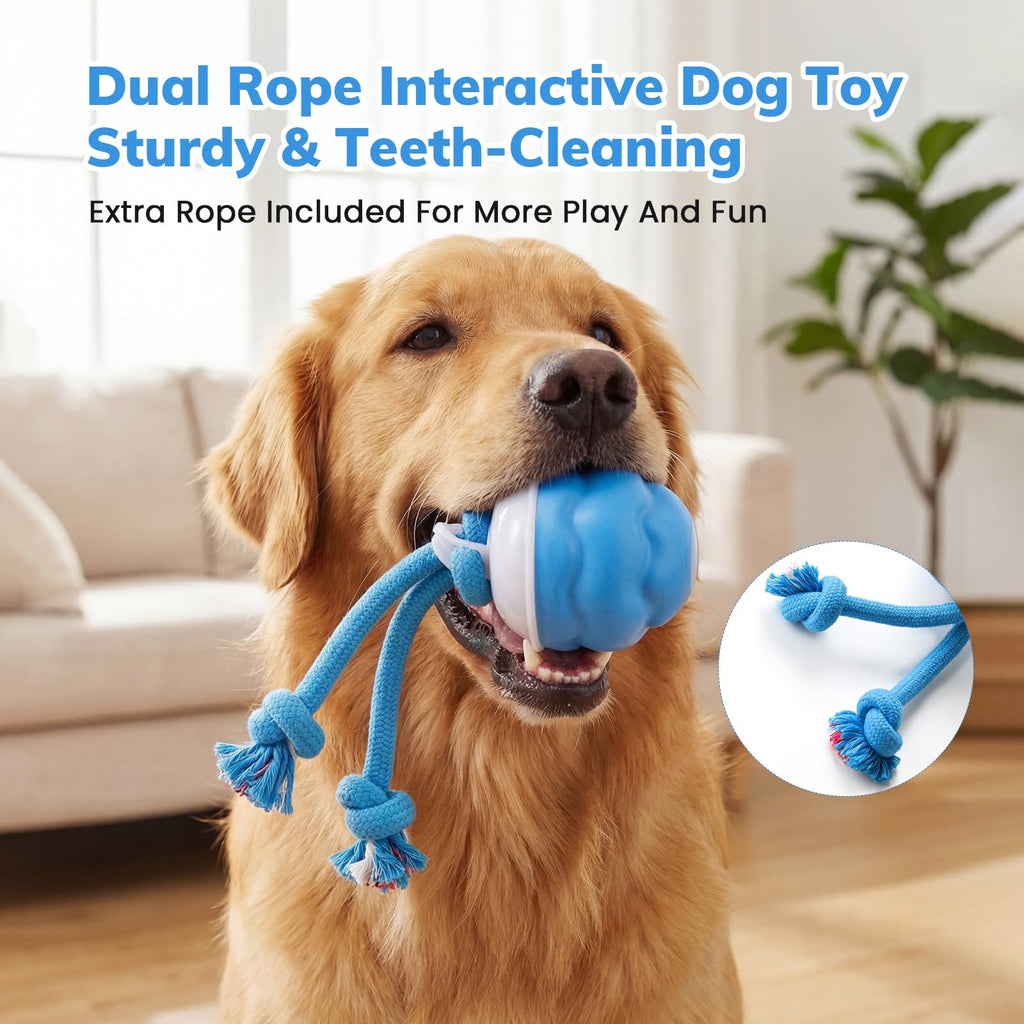 Motion-Activated Interactive Dog Ball With Three Modes