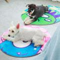 Pet Nest Mat
