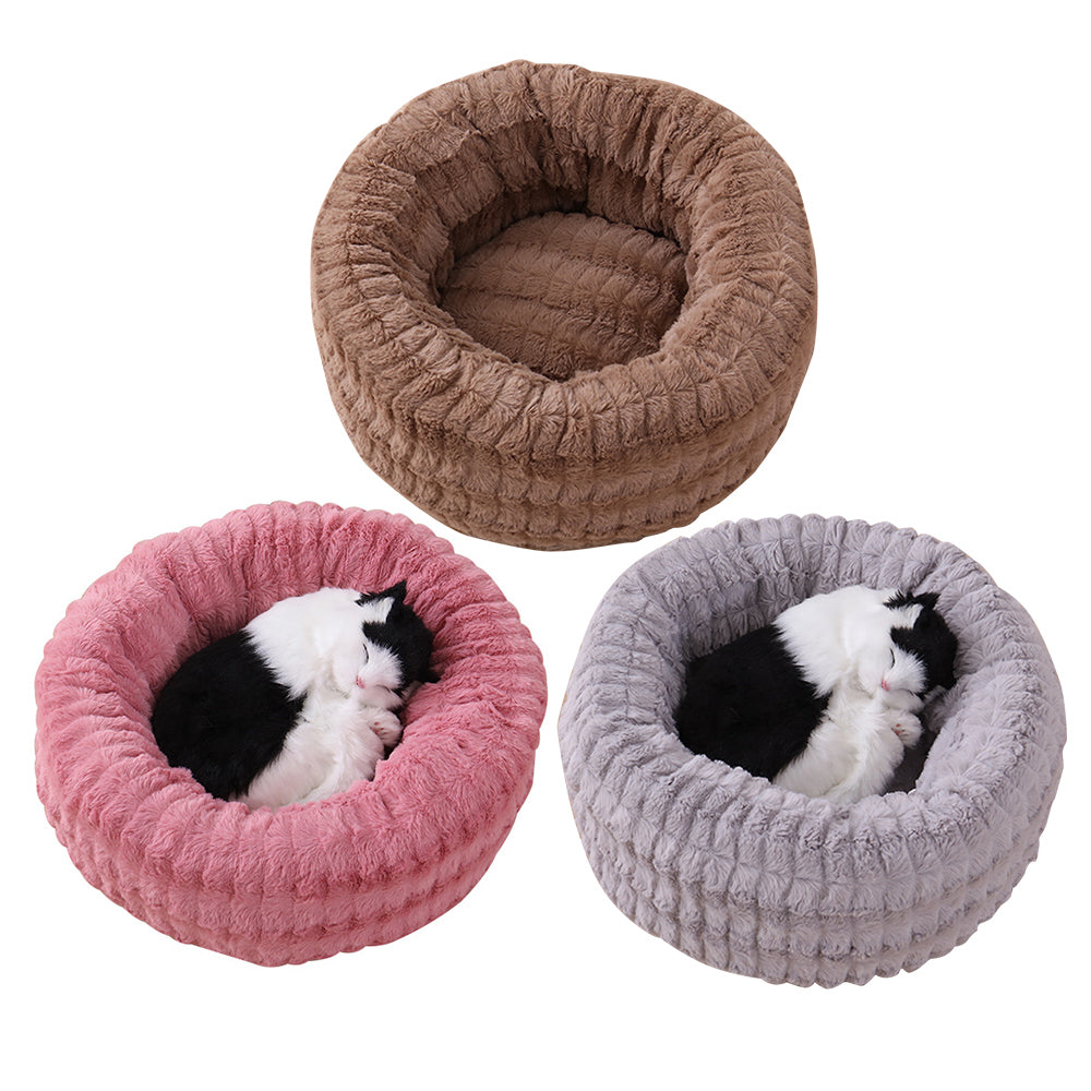 Warm Pet Litter In Winter