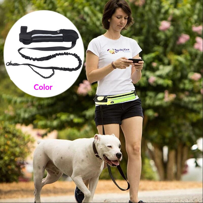 Multi-Pocket Lightweight Pet Training Leash