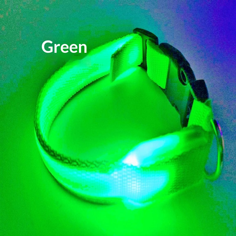 USB-Charging Glow-in-the-Dark Dog Collar