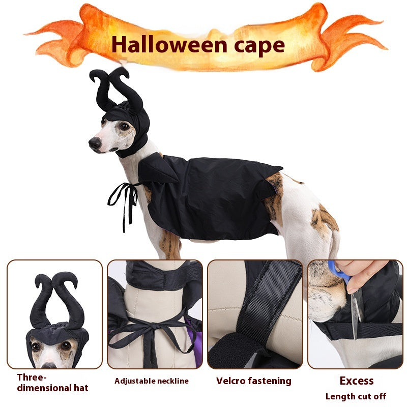 Halloween Dog Cloak and Hat