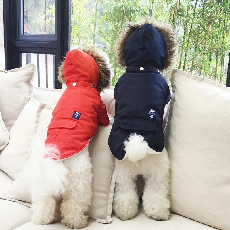 Hooded Cotton Dog Coat