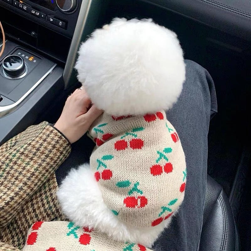Knitted Sweater for Teddy Bichon Puppies