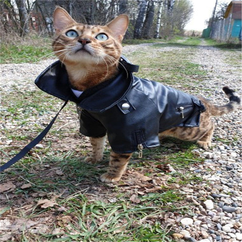 Small Dog Embroidered Eagle Artificial Leather Jacket