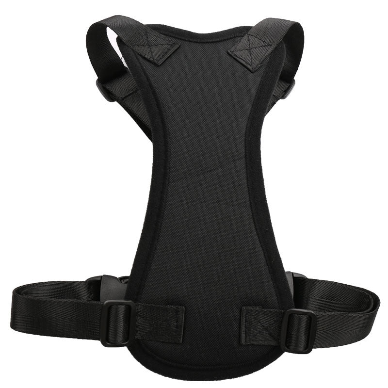 Car Seat Belts for Pets