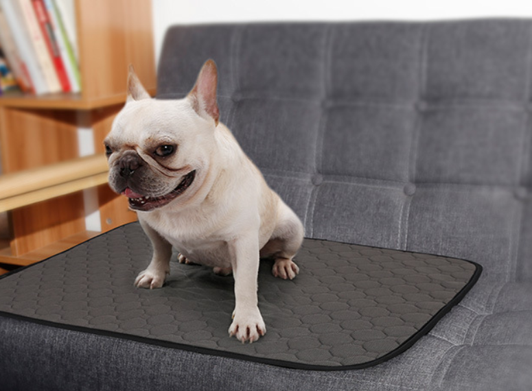 Washable Absorbent Dog Changing Pad