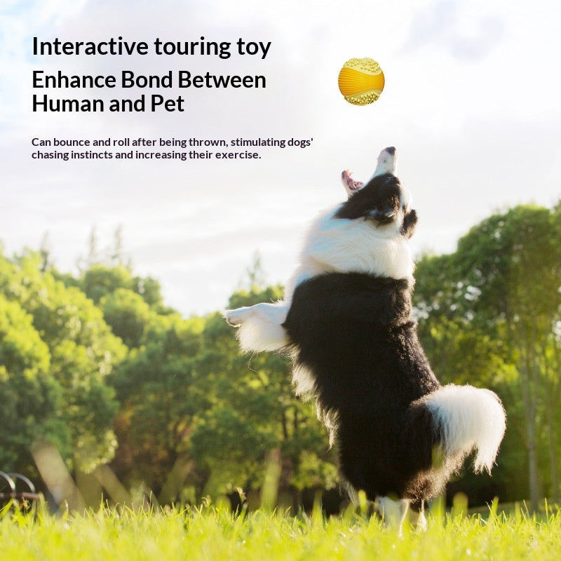 Small Squeaky Golf Ball Dog Chew Toy