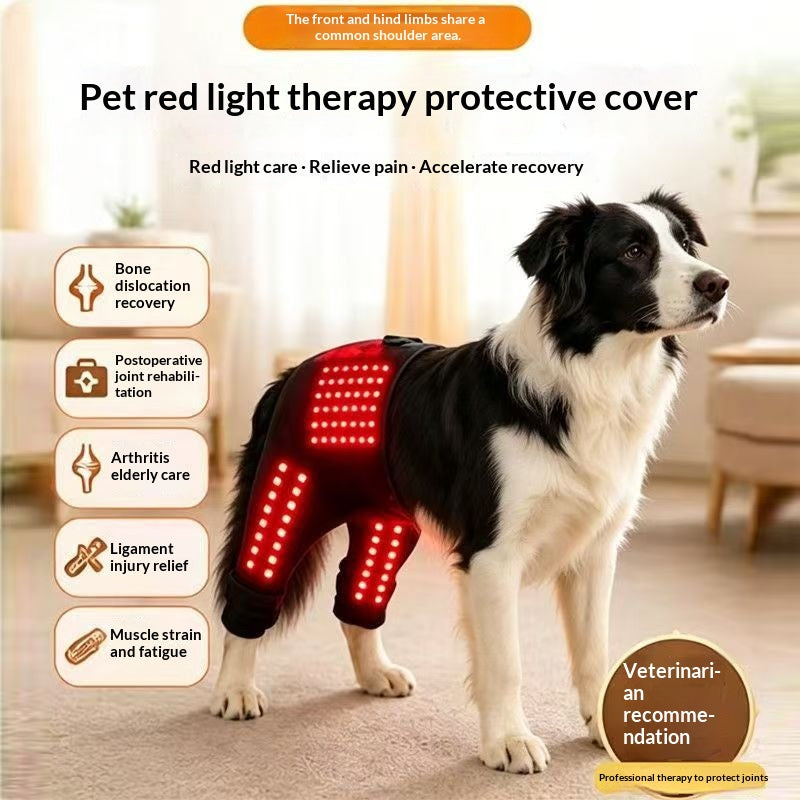 Dual-Use Pet Front Rear Limb Hip Care Band