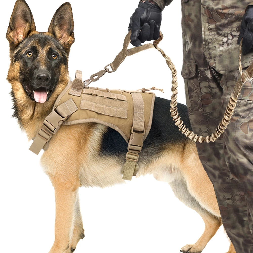 Elastic Buffer Outdoor Pet Traction Rope