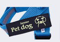 Chain Leash Vest Harness For Dogs