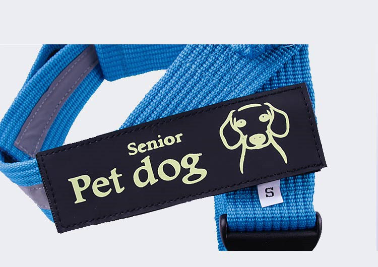 Chain Leash Vest Harness For Dogs