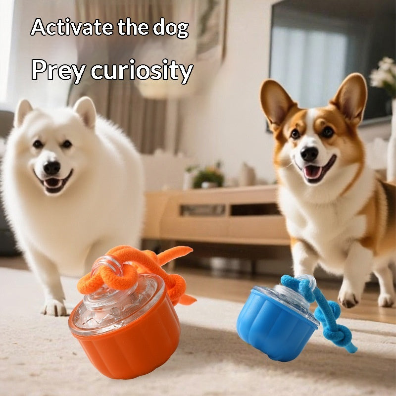 Indoor Automatic Dog Ball Puzzle Toy