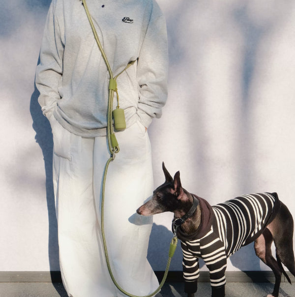 Pet Leash Hands-Free Cross-Body Waist-Worn Multi-Functional