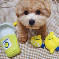 Pet Plush Voice Toy