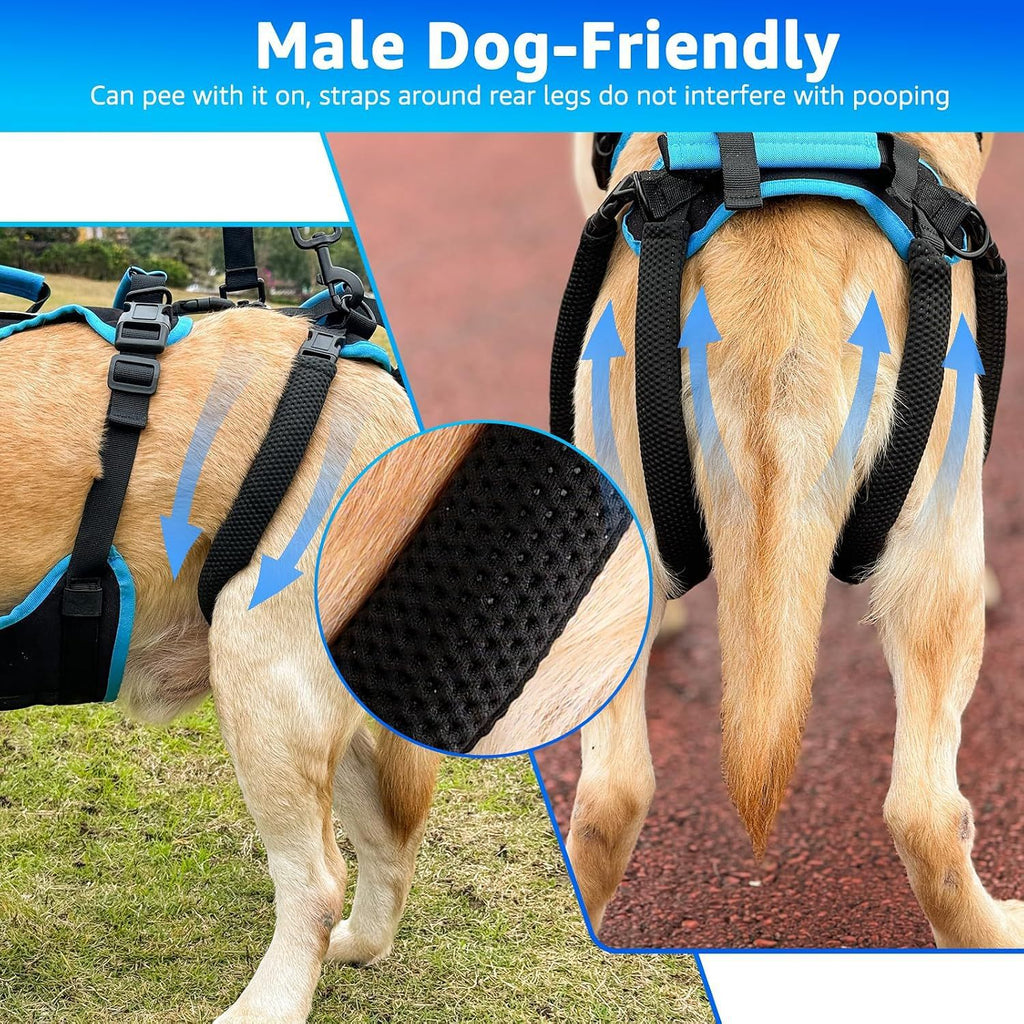 Large Breed Senior Dog Walking Harness