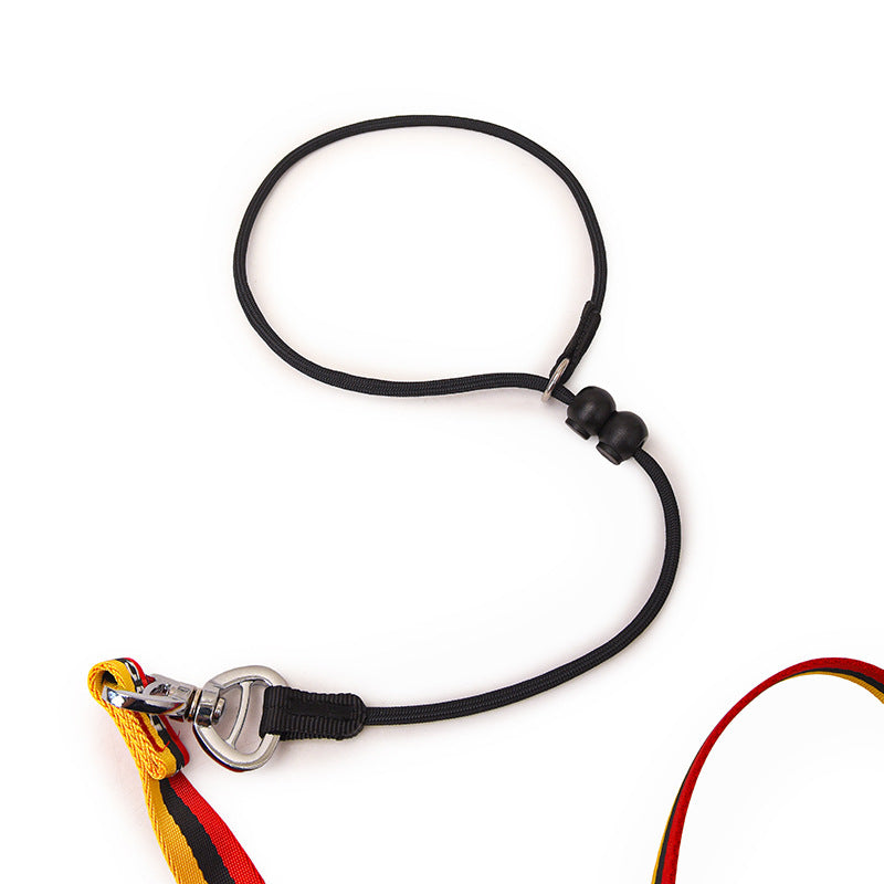 Minimalist Pet Leash Easy-To-Extend Design For Medium And Large Dogs