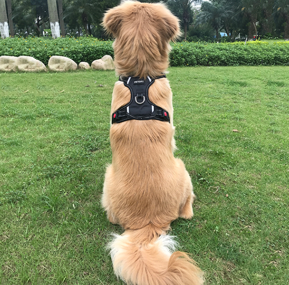 Medium And Large Dog Vest Type Dog Rope