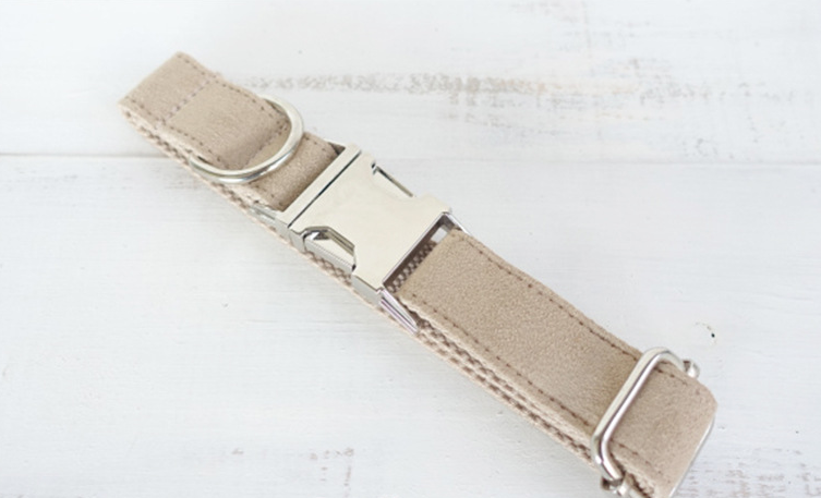 Pet Dog Traction Collar